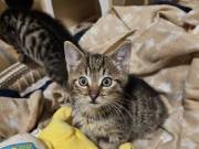 571245917_10216571316353456_636498422129716783_n