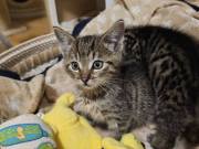 571439810_10216571317033473_4521614665220147424_n