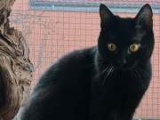 171d69f8-0a77-4f19-82ec-51cc734bc27e