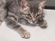 561286742_25324370263837758_6227505832553218877_n