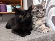 563567375_25374458692162248_2848436943127612834_n