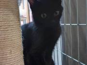 564208068_25324367777171340_414954315571234542_n