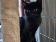 564605788_25324367950504656_5119943010685532858_n