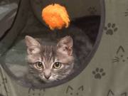 564617509_25324367187171399_2538066372026039888_n