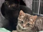 564815178_25324368470504604_2165277608444834974_n