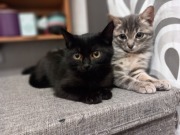 565133869_25374457698829014_1968320345736909484_n