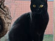 647566237_26670398242568280_4972873444189791080_n