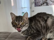 649133656_26670397575901680_4904212926439776722_n