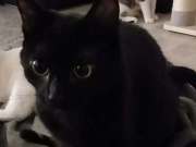 8e984639-6520-4e1a-8727-6fed3668cde0