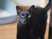 499792653_10233949325652647_4686913784810688385_n