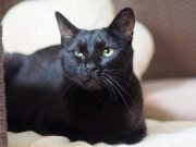 499949197_10233949326732674_7176406930834283600_n