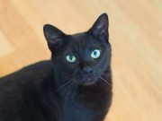 499960995_10233949326292663_7365697393883108804_n