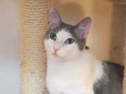 500038810_10233949473456342_8289656076199689808_n