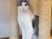 500097620_10233949473336339_979693624456594203_n