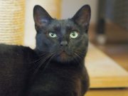 500107671_10233949326172660_7824887968864696932_n