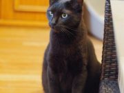 500123341_10233949325732649_5030043754701615421_n