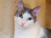 500482251_10233949473736349_2687217415087624097_n