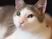 501290487_10233949473896353_3087405651703830319_n