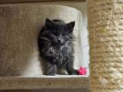 465464562_10214529425267455_3961712576712330119_n