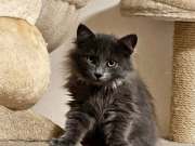 468706542_10214629135640152_3935205636408925512_n