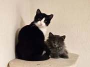 468738460_10214629126839932_2043826853745738163_n