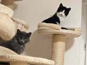 468767646_10214629127159940_5404370153801034065_n