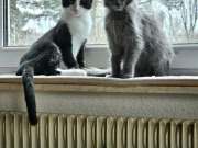 479916482_10214953297503996_6028197469283471385_n