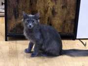 480314586_10214953441387593_6126188710293598900_n