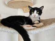 482347627_10214953297223989_7673583586144352691_n