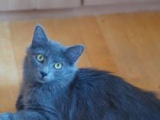 494335866_10233637403614791_5809072588967107814_n