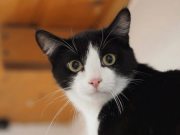 494347374_10233637324412811_8840376110686073835_n