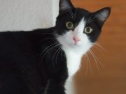 494761525_10233637323812796_3063538692881347505_n