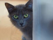 495087434_10233637403534789_1150473820345765521_n