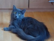 495159842_10233637404374810_3072956003712129907_n