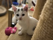 624267737_10217123890247458_7385549971778776233_n