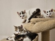 625400544_10217123891447488_7488413934485084089_n