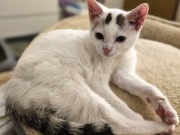 636792922_10217221776294548_2753901926171665396_n