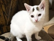 640113975_10217249742033674_1497545122779105189_n