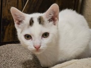 640394094_10217249743953722_1146248285600330382_n