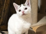 640419345_10217249741073650_7878052328648706418_n