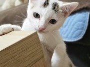 640443150_10217249742353682_4266501849786819164_n