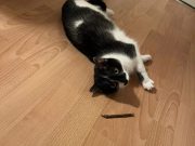 637943146_1468523008123963_5653381844198064824_n