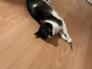 638201448_1468523018123962_3445171739984048632_n