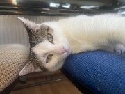 558175693_10162755963188371_5870161820485397384_n