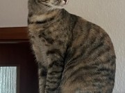 558262665_10162755965093371_1269904519844604576_n