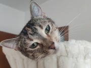 558290351_10162755961778371_2807869121281993551_n