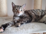 558459066_10162756641008371_3406604790939236002_n