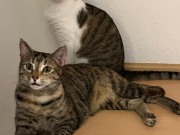 558669749_10162755960893371_5629150128702283449_n