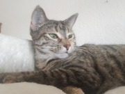 558677552_10162755964293371_1600767967690675129_n