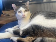 559230468_10162755965523371_7889750296521410972_n